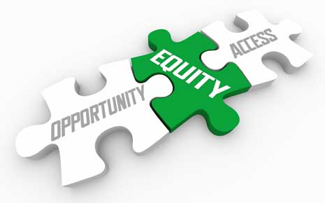 Equity puzzle piece linking access and opportunity